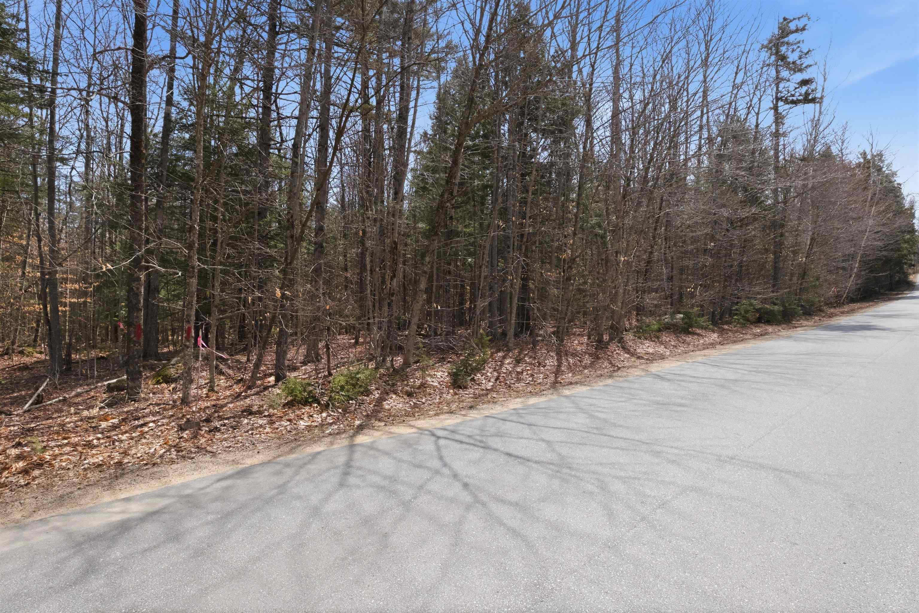 0 Puckerbrush Road Campton, NH 03223 - Photo 9 of 18