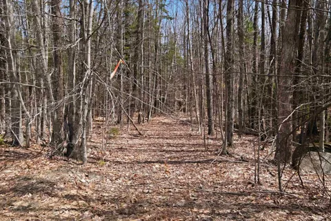 $300,000 | 0 Puckerbrush Road, Campton, NH 03223