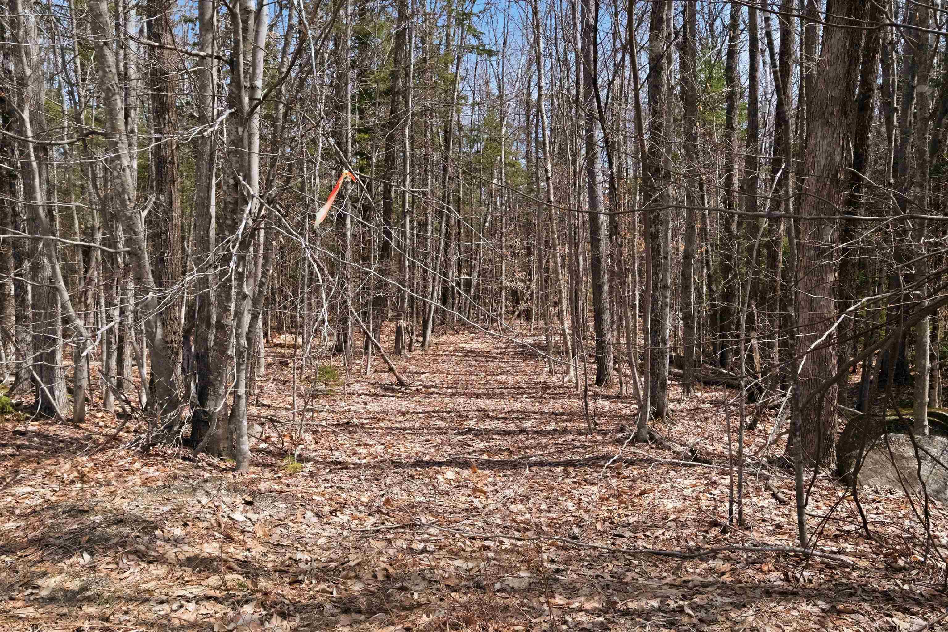 0 Puckerbrush Road Campton, NH 03223 - Photo 9 of 21