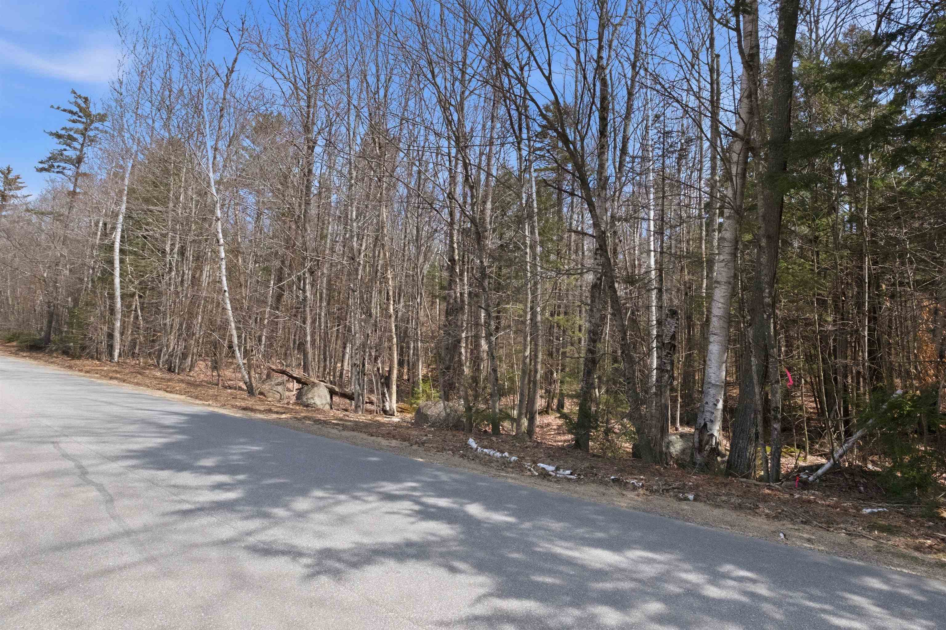 0 Puckerbrush Road Campton, NH 03223 - Photo 10 of 18