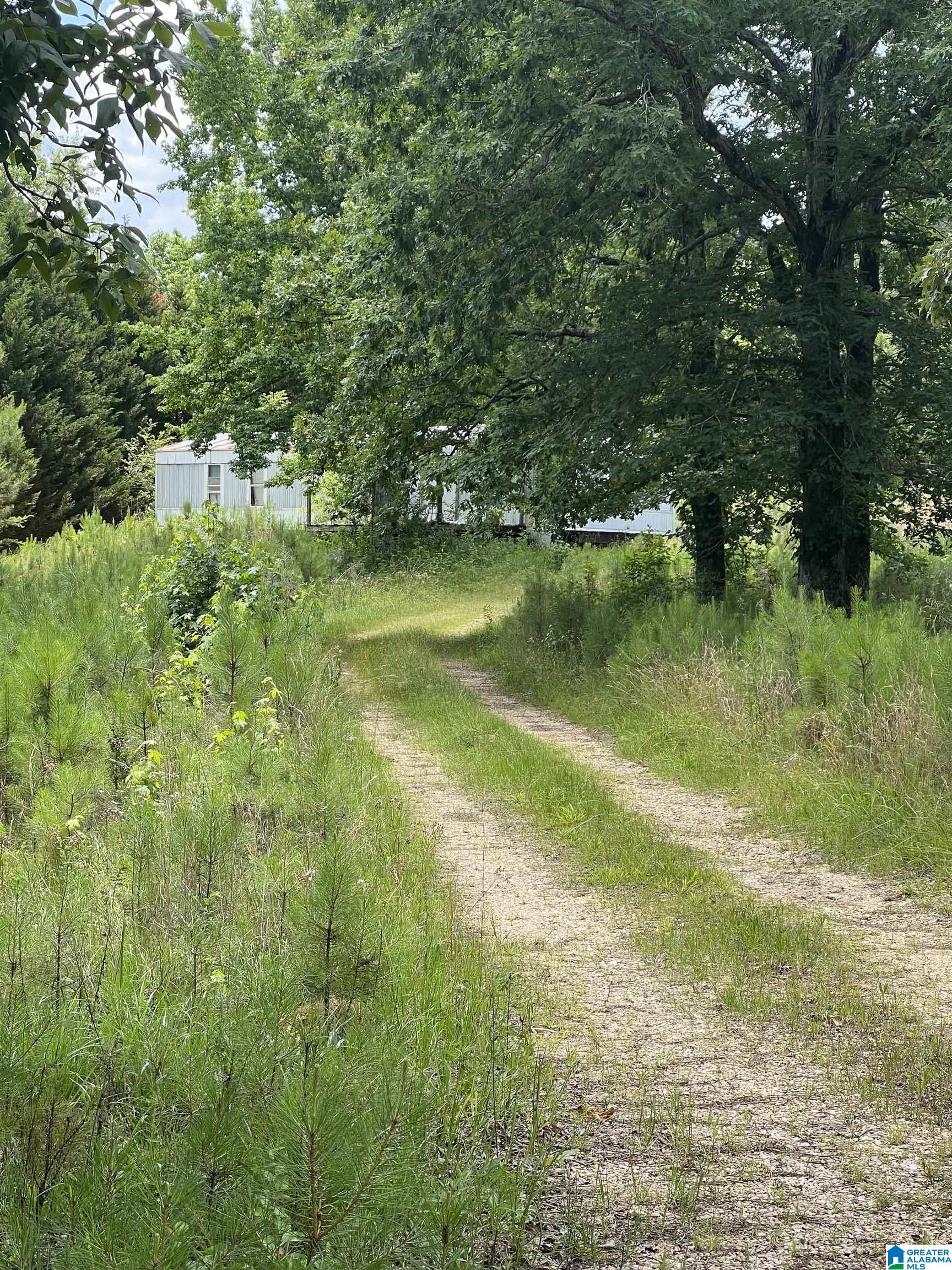 219 Hilltop Road Haleyville, AL 35565 - Photo 1 of 2