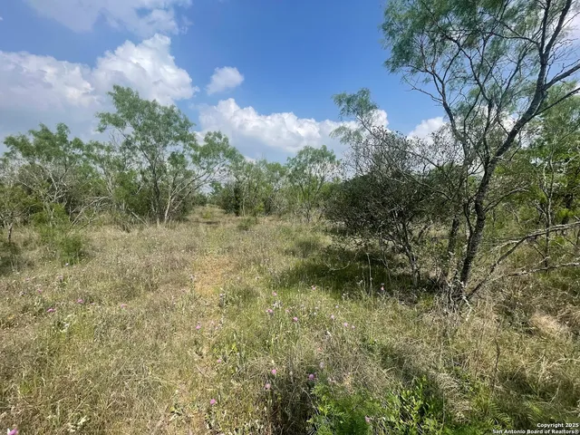 a view of an outdoor space and yard