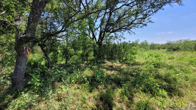 a view of a bathroom