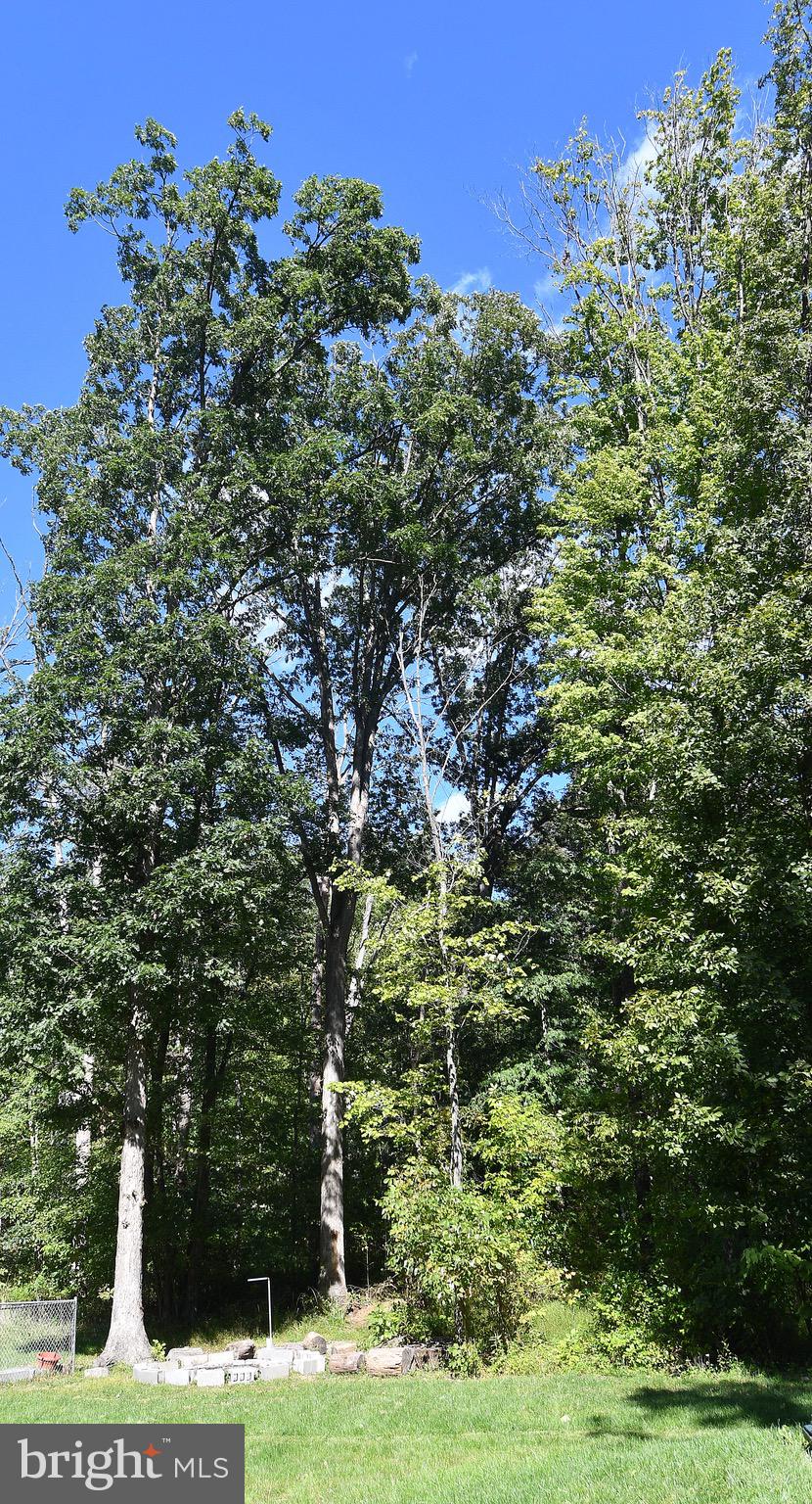 106 Wild Turkey Road Berkeley Springs, WV 25411 - Photo 43 of 46 Gallery Image 43