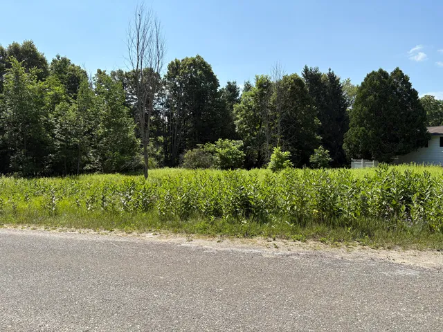 $27,900 | 20535 Edgewood Drive, Big Rapids, MI 49307