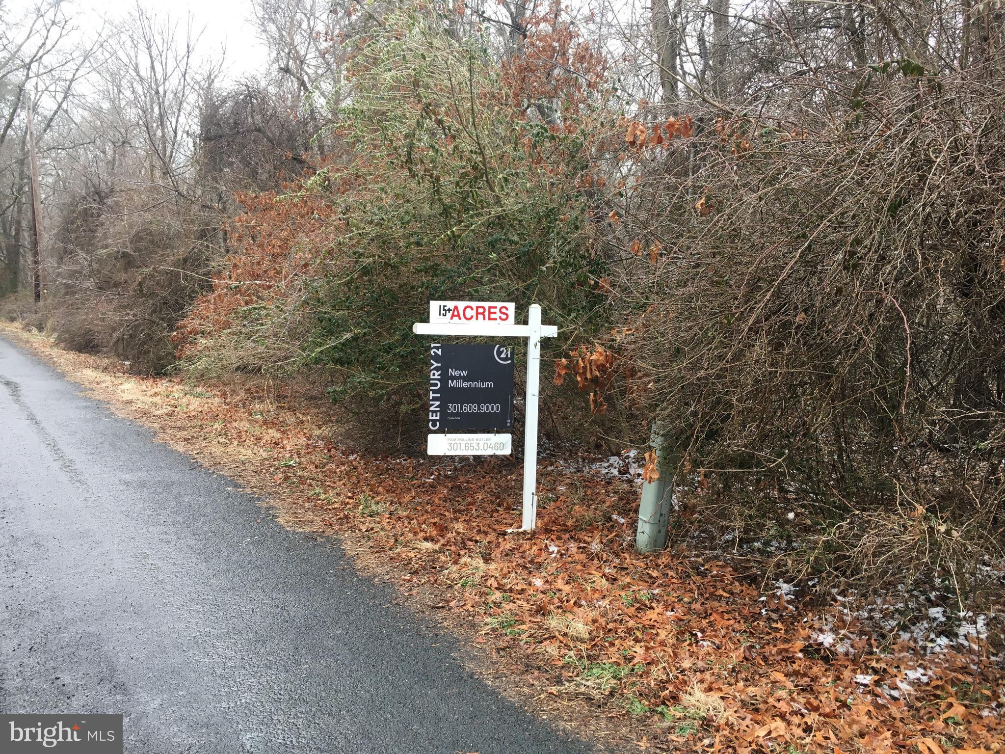 Phillips Road La Plata, MD 20646 - Photo 2 of 2 RAW LAND PIC 2
