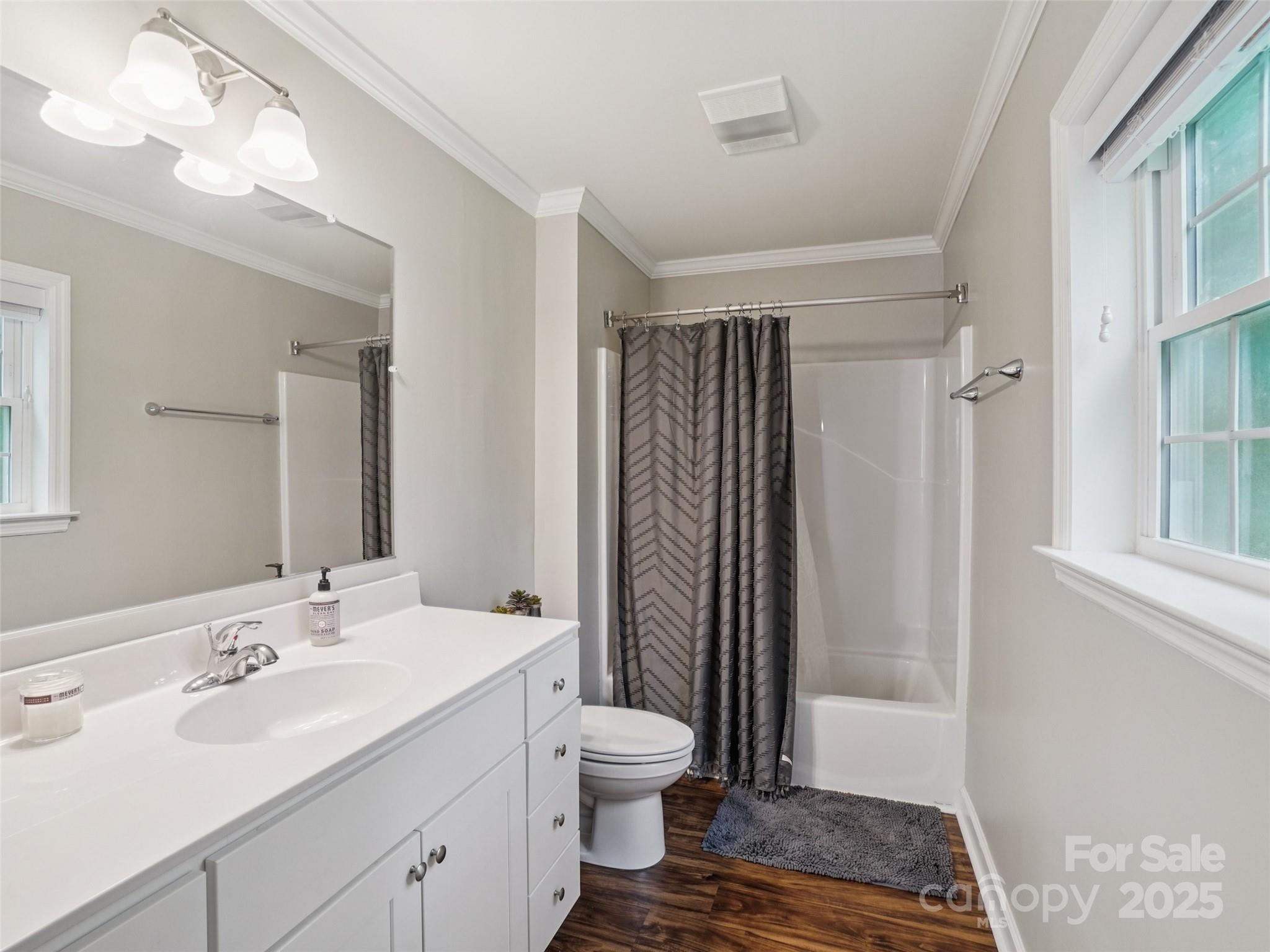 32 Lewis Street Canton, NC 28716 - Photo 17 of 27 a bathroom with a granite countertop sink toilet a mirror a vanity and shower