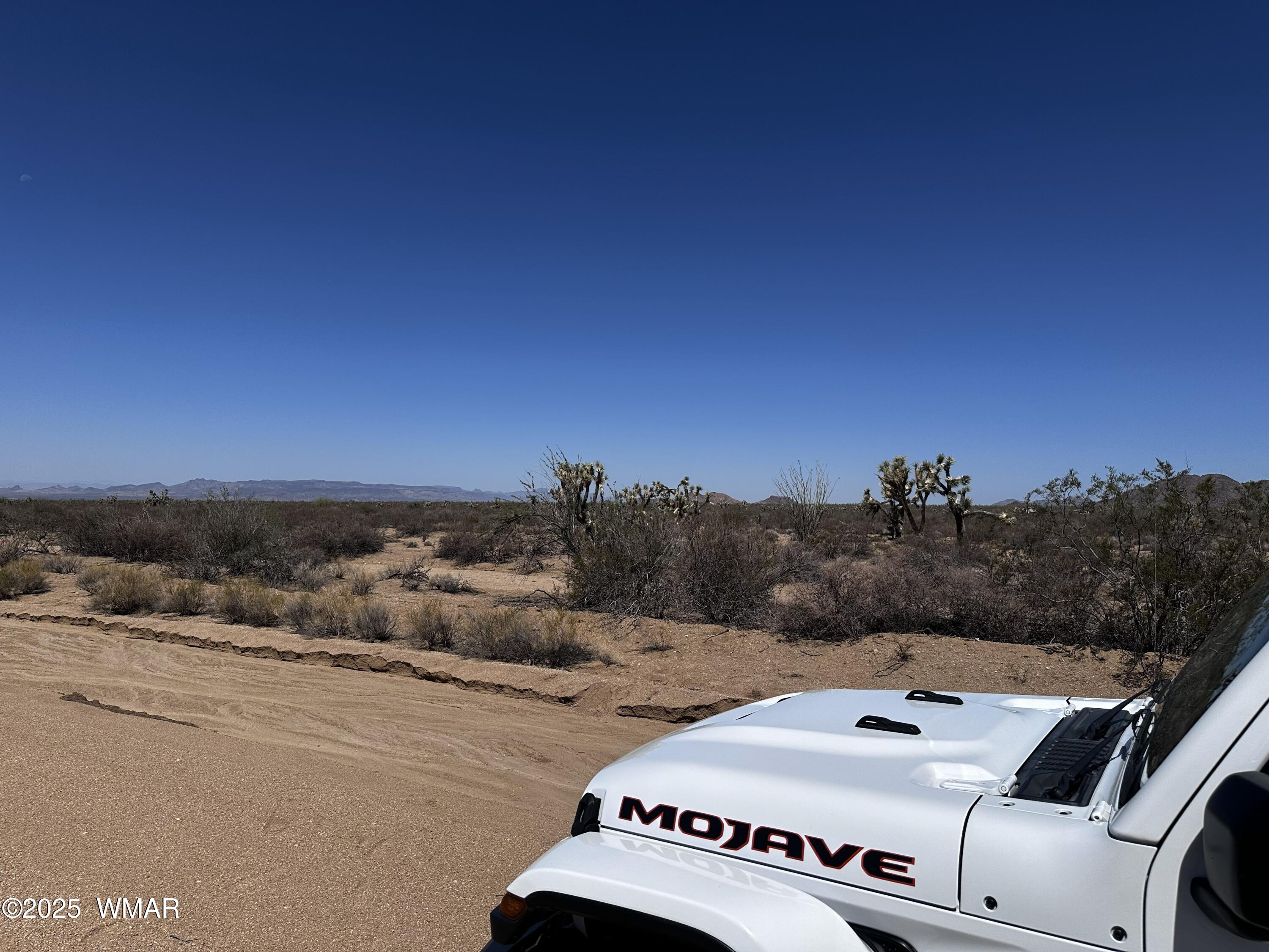 17404 South Jesse James Road Yucca, AZ 86438 - Photo 9 of 20 242-14-007