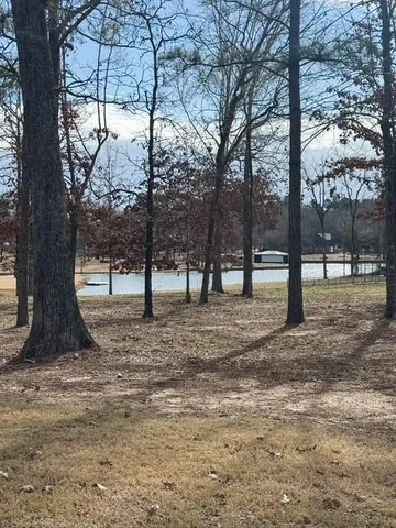 a view of outdoor space with lots of trees