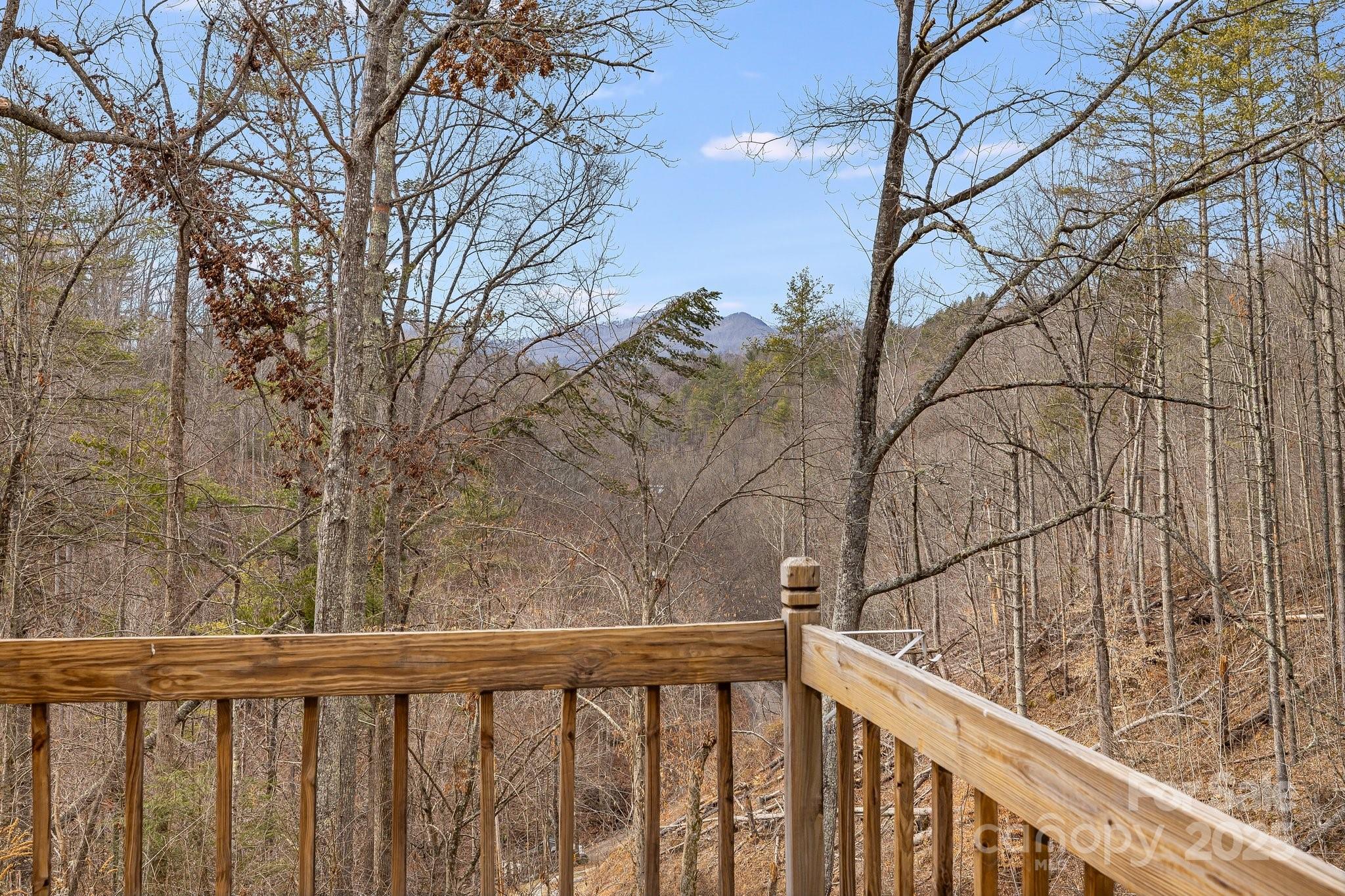 1185 Roses Branch Road Green Mountain, NC 28740 - Photo 23 of 37 Gallery Image 23