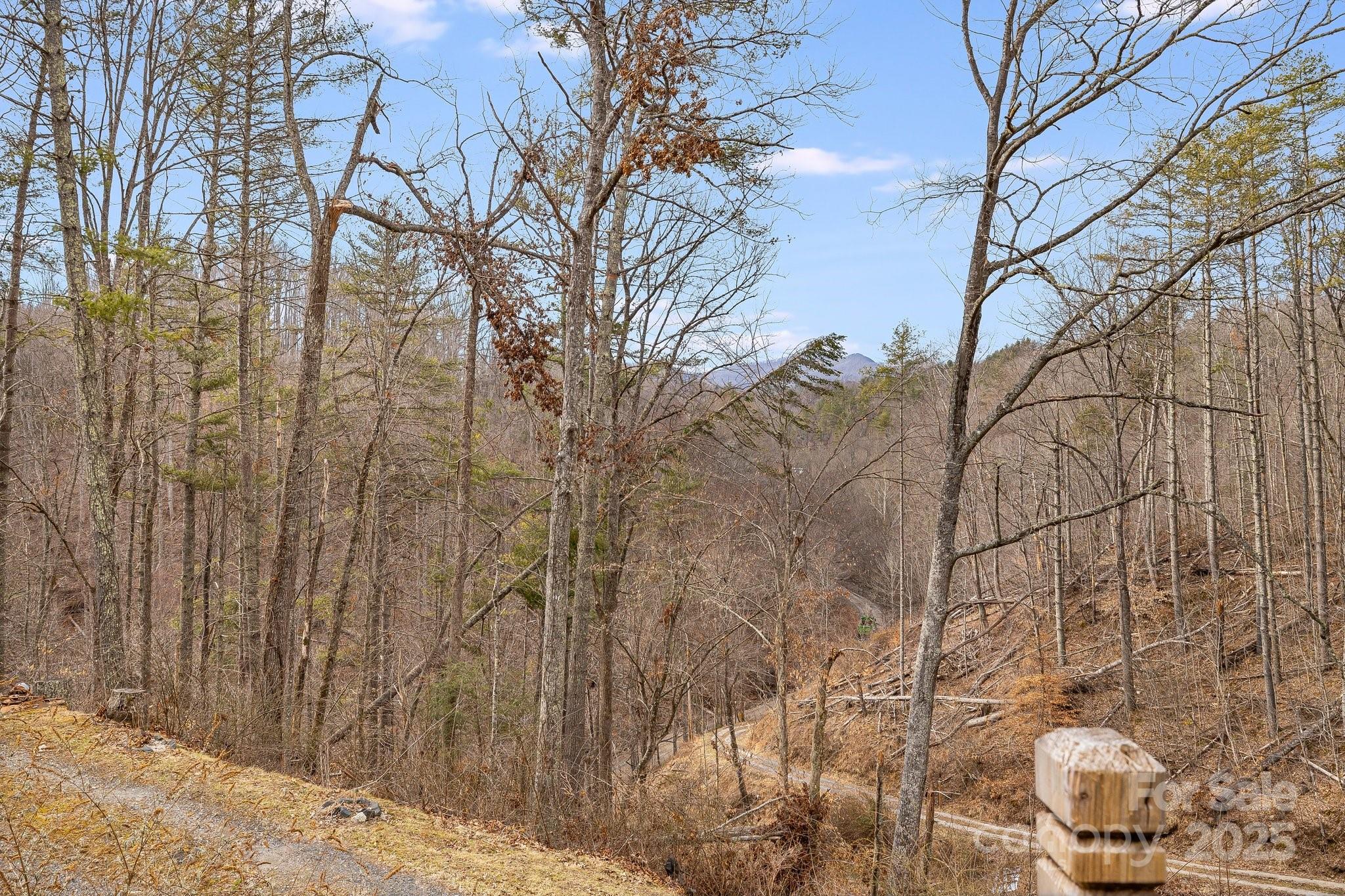 1185 Roses Branch Road Green Mountain, NC 28740 - Photo 24 of 37 Gallery Image 24