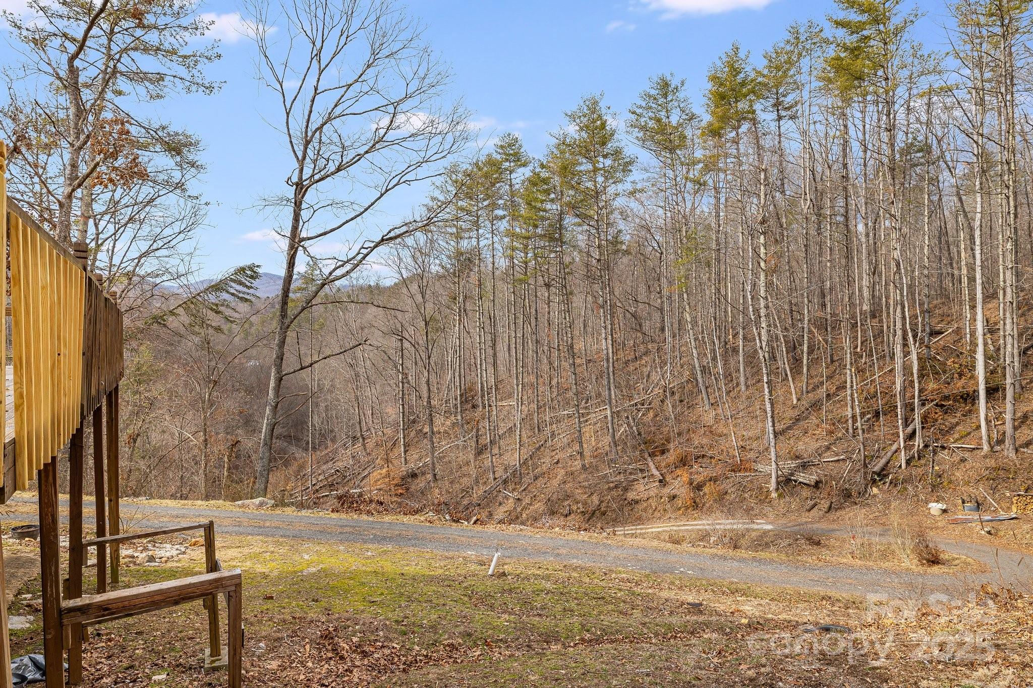 1185 Roses Branch Road Green Mountain, NC 28740 - Photo 25 of 37 Gallery Image 25