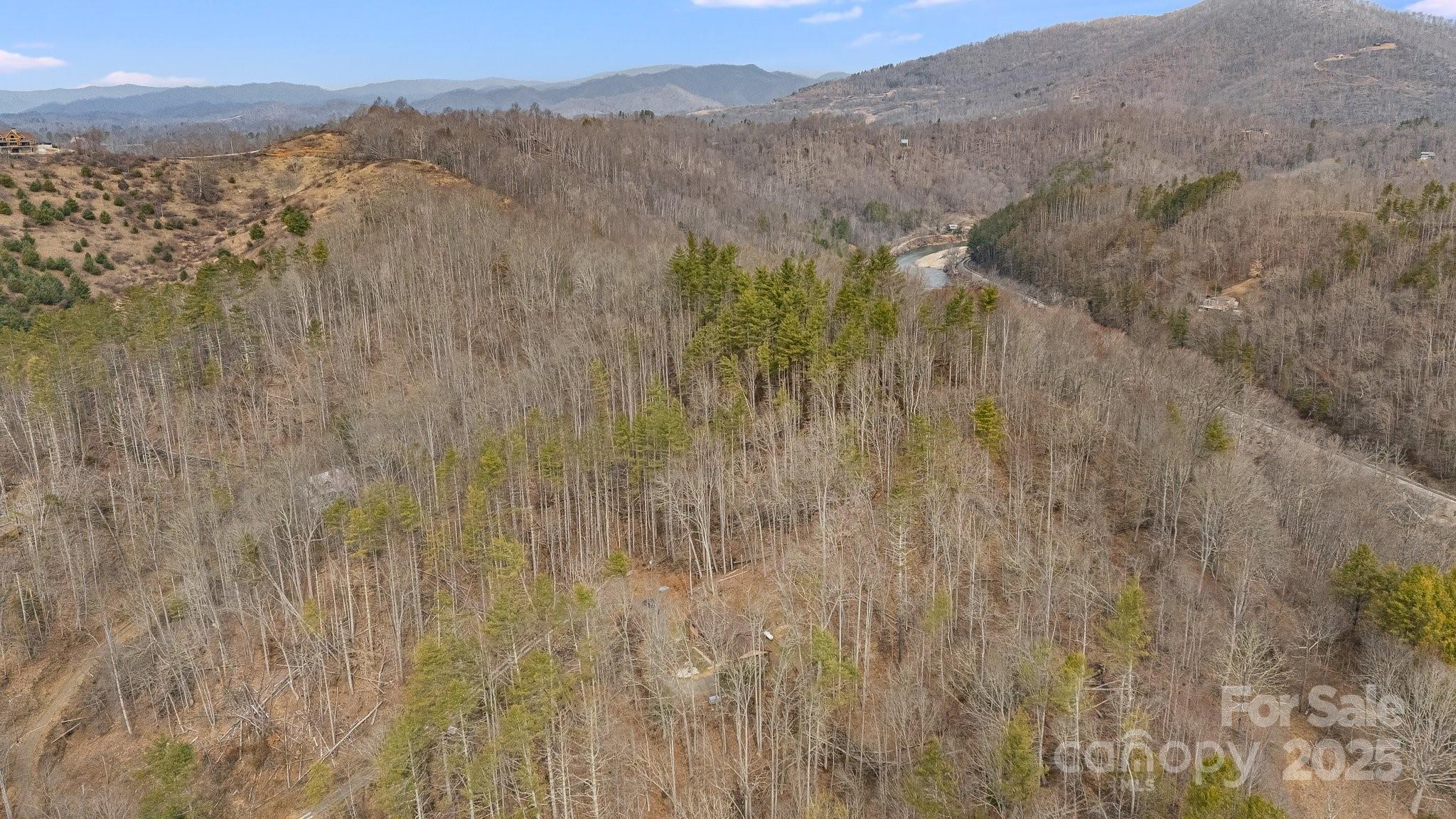 1185 Roses Branch Road Green Mountain, NC 28740 - Photo 31 of 37 Gallery Image 31