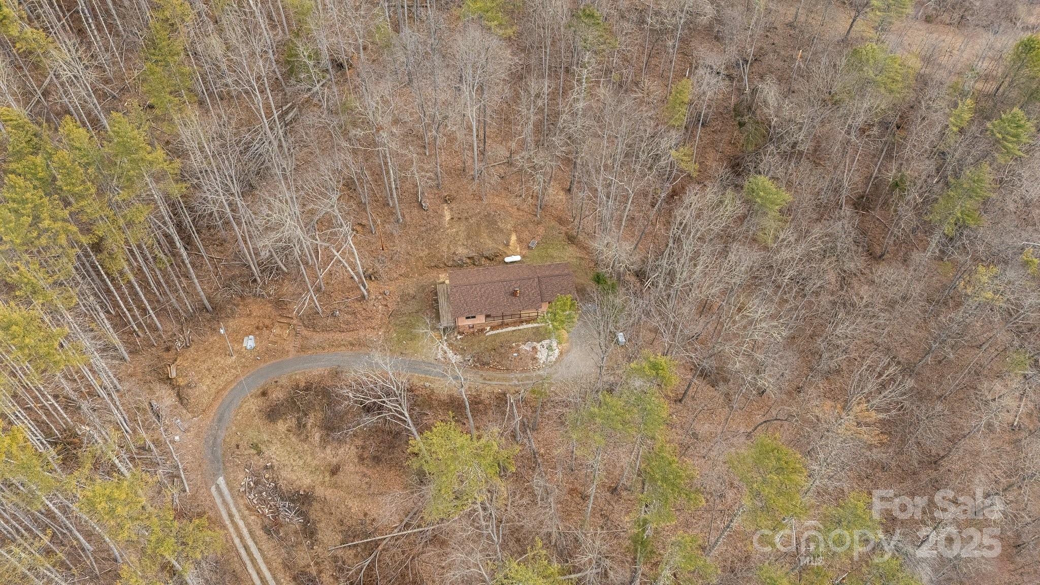 1185 Roses Branch Road Green Mountain, NC 28740 - Photo 32 of 37 Gallery Image 32