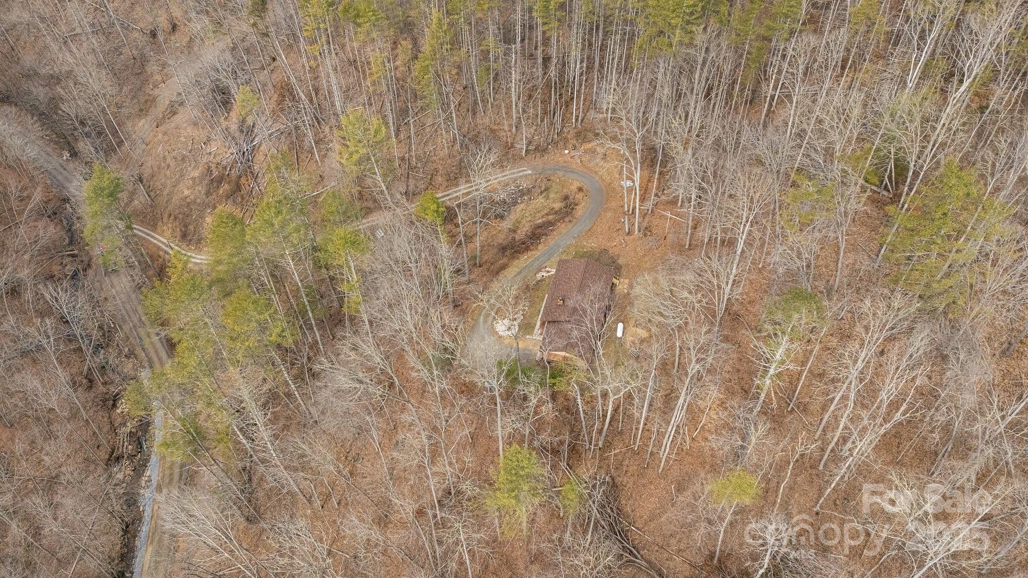 1185 Roses Branch Road Green Mountain, NC 28740 - Photo 33 of 37 Gallery Image 33