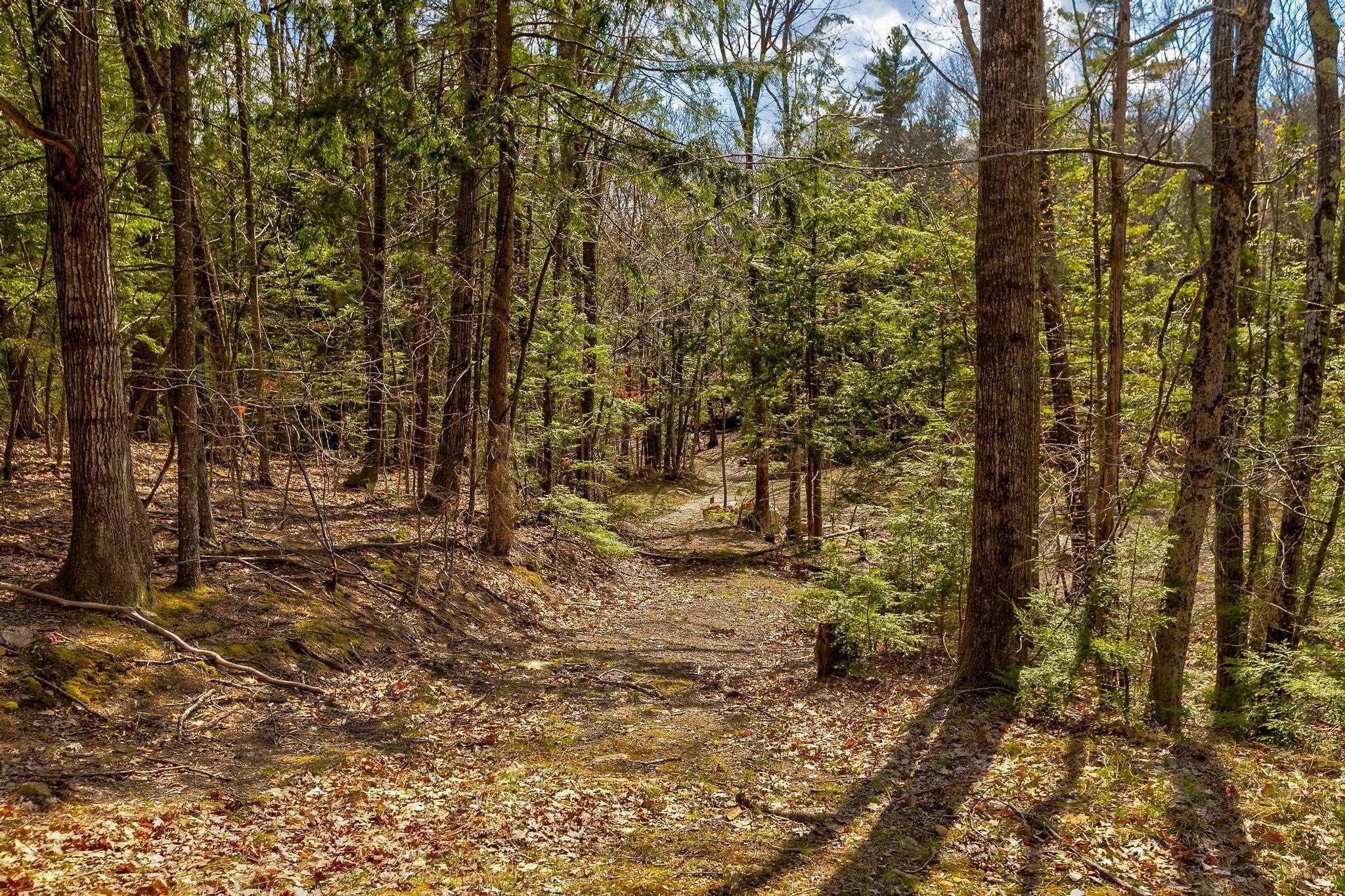207 Durrell Mountain Road Belmont, NH 03220 - Photo 42 of 42 Gallery Image 42