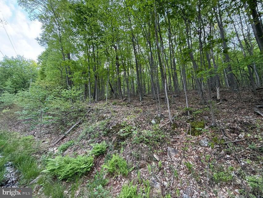 0 Cherry Run Road Bedford, PA 15522 - Photo 1 of 4 Gallery Image 1