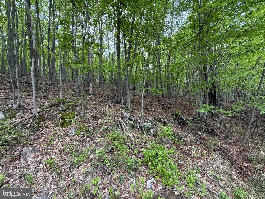 0 Cherry Run Road Bedford, PA 15522 - Photo 2 of 4 Gallery Image 2