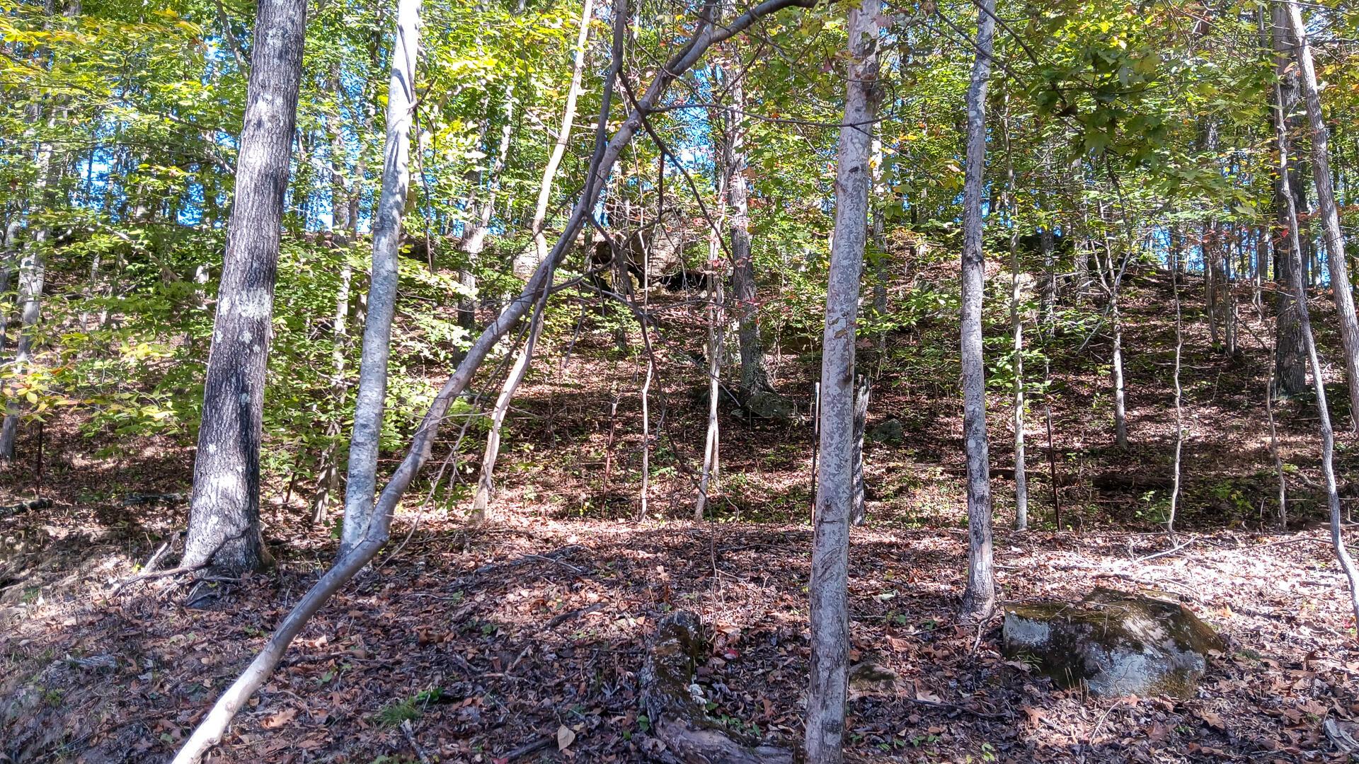 1462 Keystone Road, Unit RACCOON CREEK ADVENTURES) Vinton, OH 45686 - Photo 31 of 69