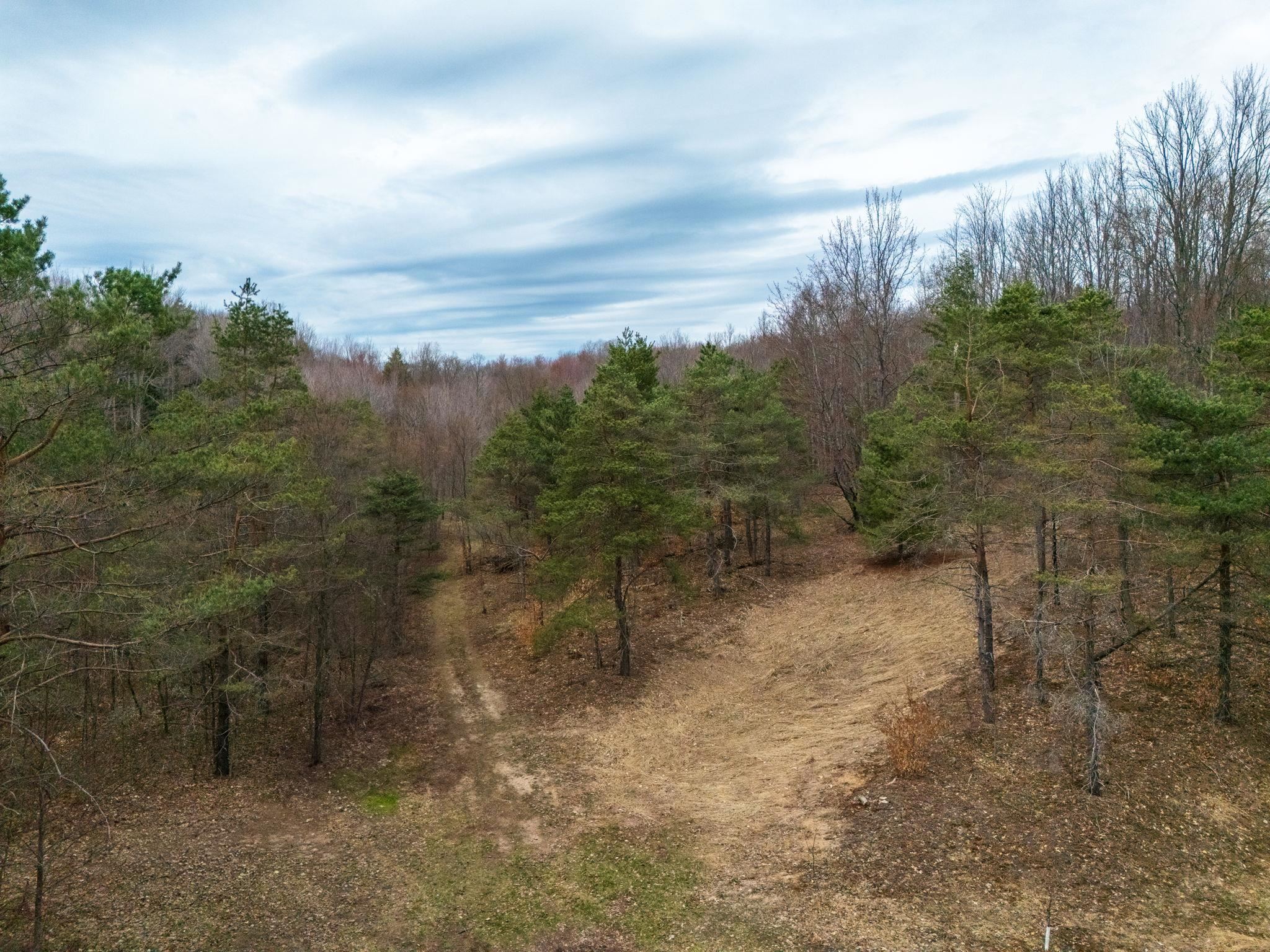 3383 Burnt Mill Road Interlochen, MI 49643 - Photo 10 of 50 1933135-d710fe5d-95a0-46ab-9b10-7ea7d728af31.JPG