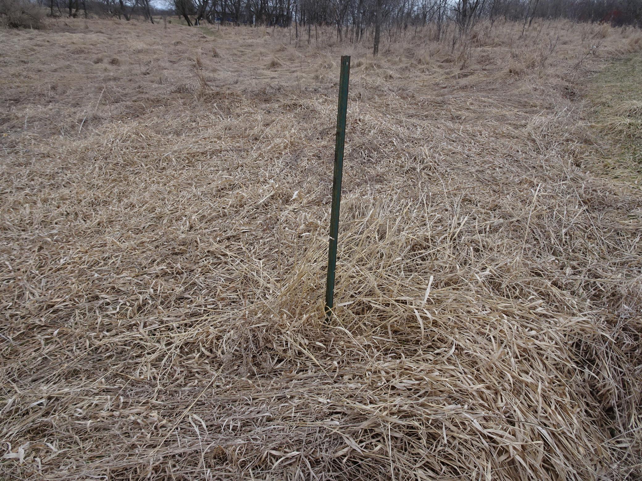 Xxx County Rd C Amery, WI 54001 - Photo 7 of 8