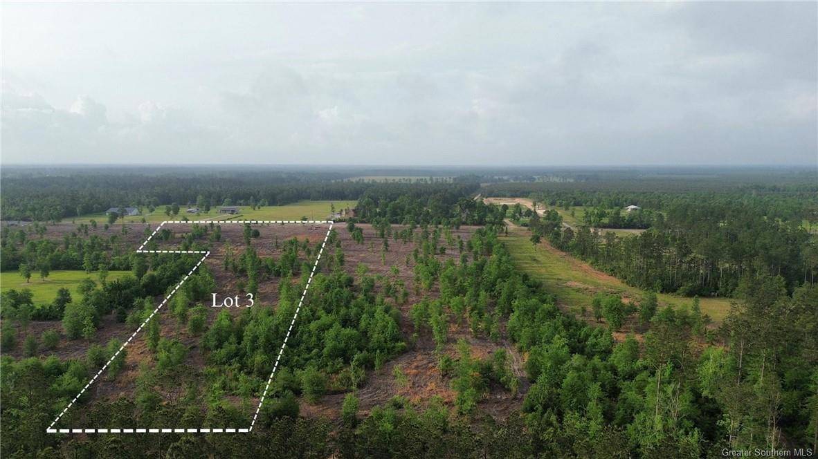 0 Rte 66 Road Dequincy, LA 70633 - Photo 3 of 4