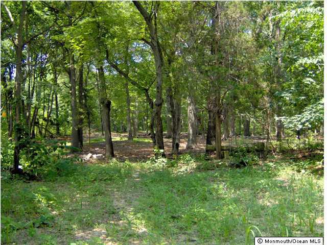 278 Spring Valley Road Morganville, NJ 07751 - Photo 2 of 3 a view of a park that has large trees