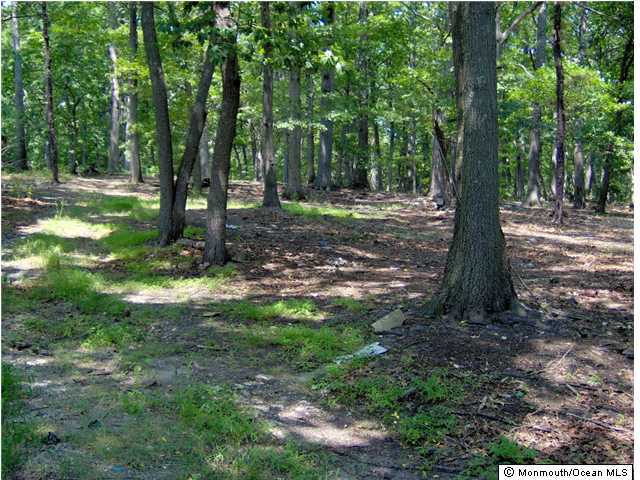 278 Spring Valley Road Morganville, NJ 07751 - Photo 3 of 3 a view of a forest with trees