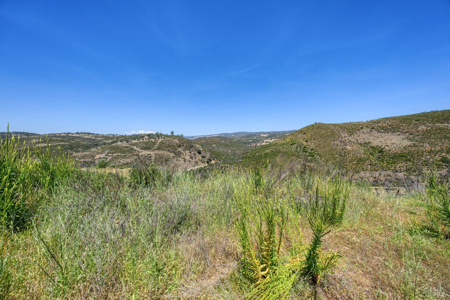 2065 Stagecoach Canyon Road Pope Valley, CA 94567 - Photo 36 of 40