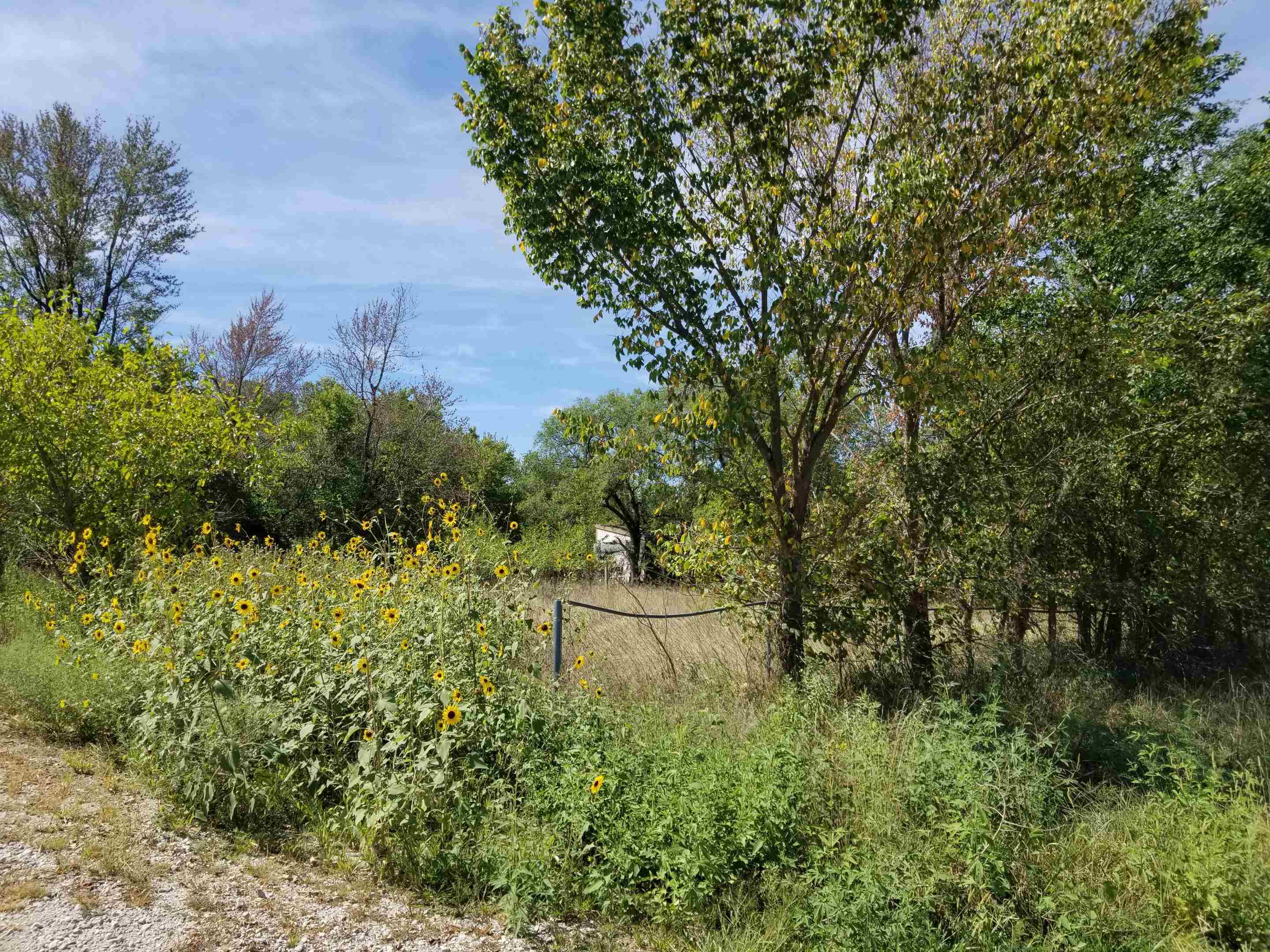 120 J90 Road Piedmont, KS 67122 - Photo 24 of 31