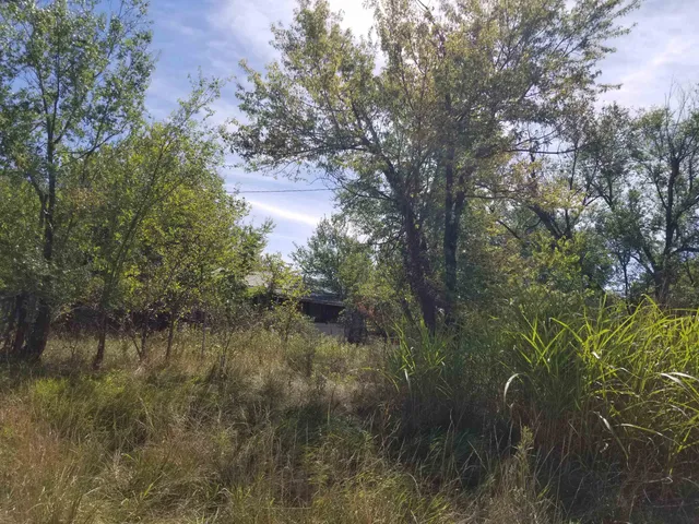 $55,000 | 120 J90 Road, Piedmont, KS 67122