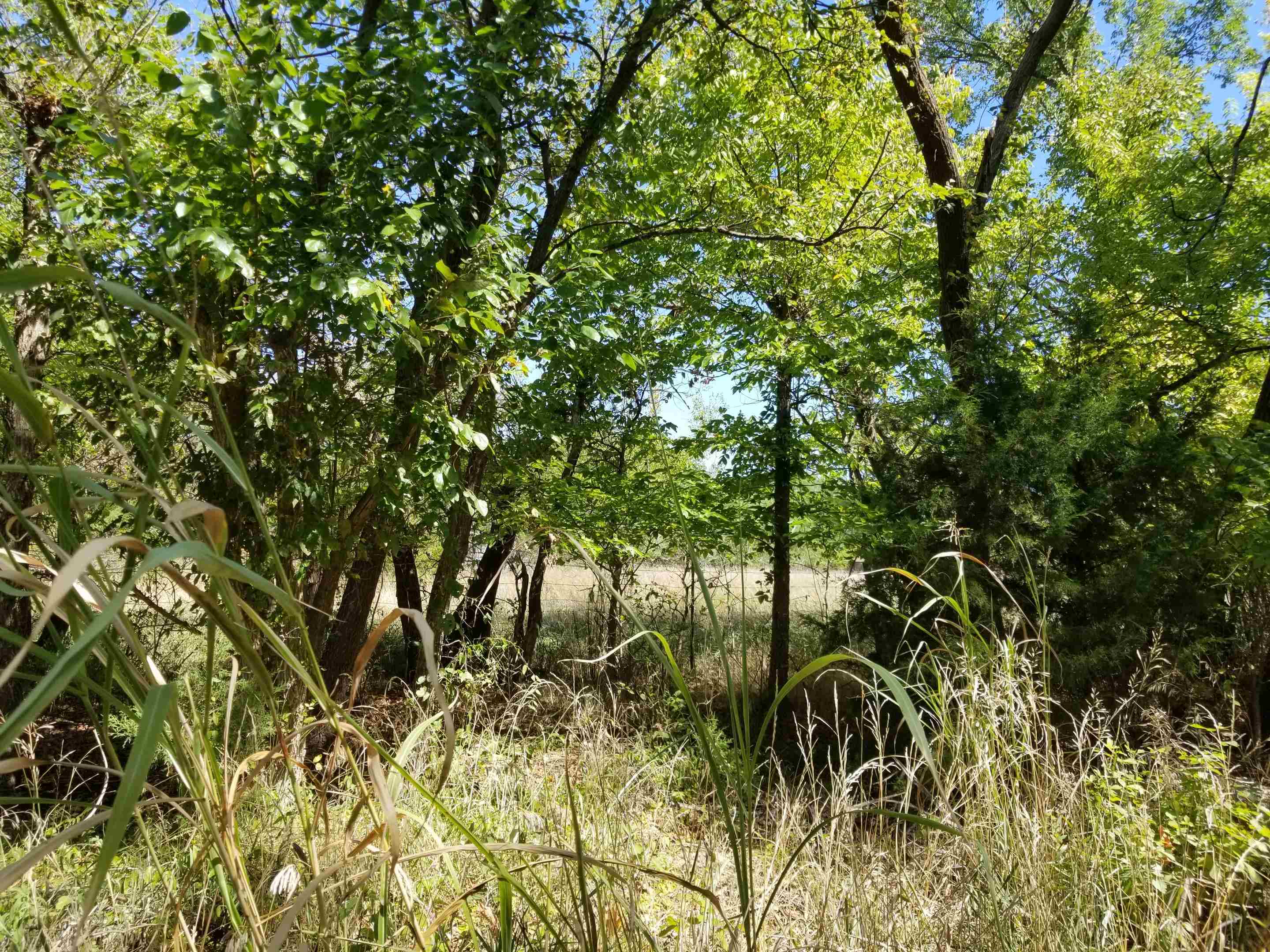 120 J90 Road Piedmont, KS 67122 - Photo 27 of 31