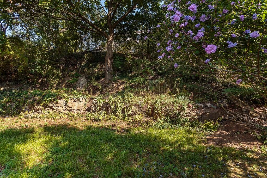 31 Roosevelt Road Medford, MA 02155 - Photo 25 of 25 Gallery Image 25