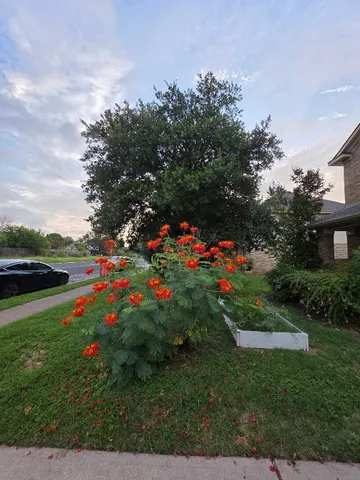 $2,695 | 8227 Liberty Walk Drive, Round Rock, TX 78681