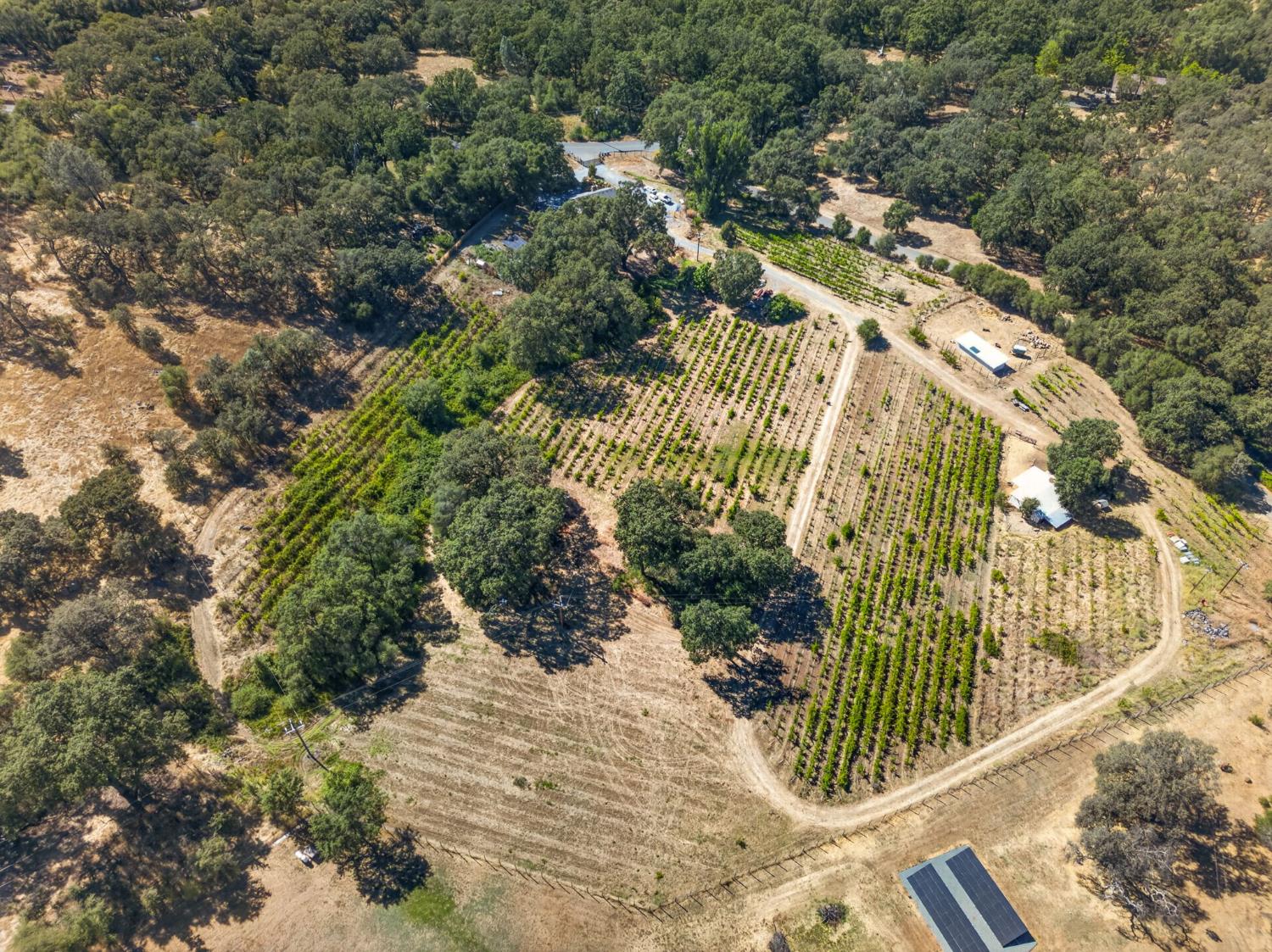 2402 Deer Valley Road Rescue, CA 95672 - Photo 82 of 88