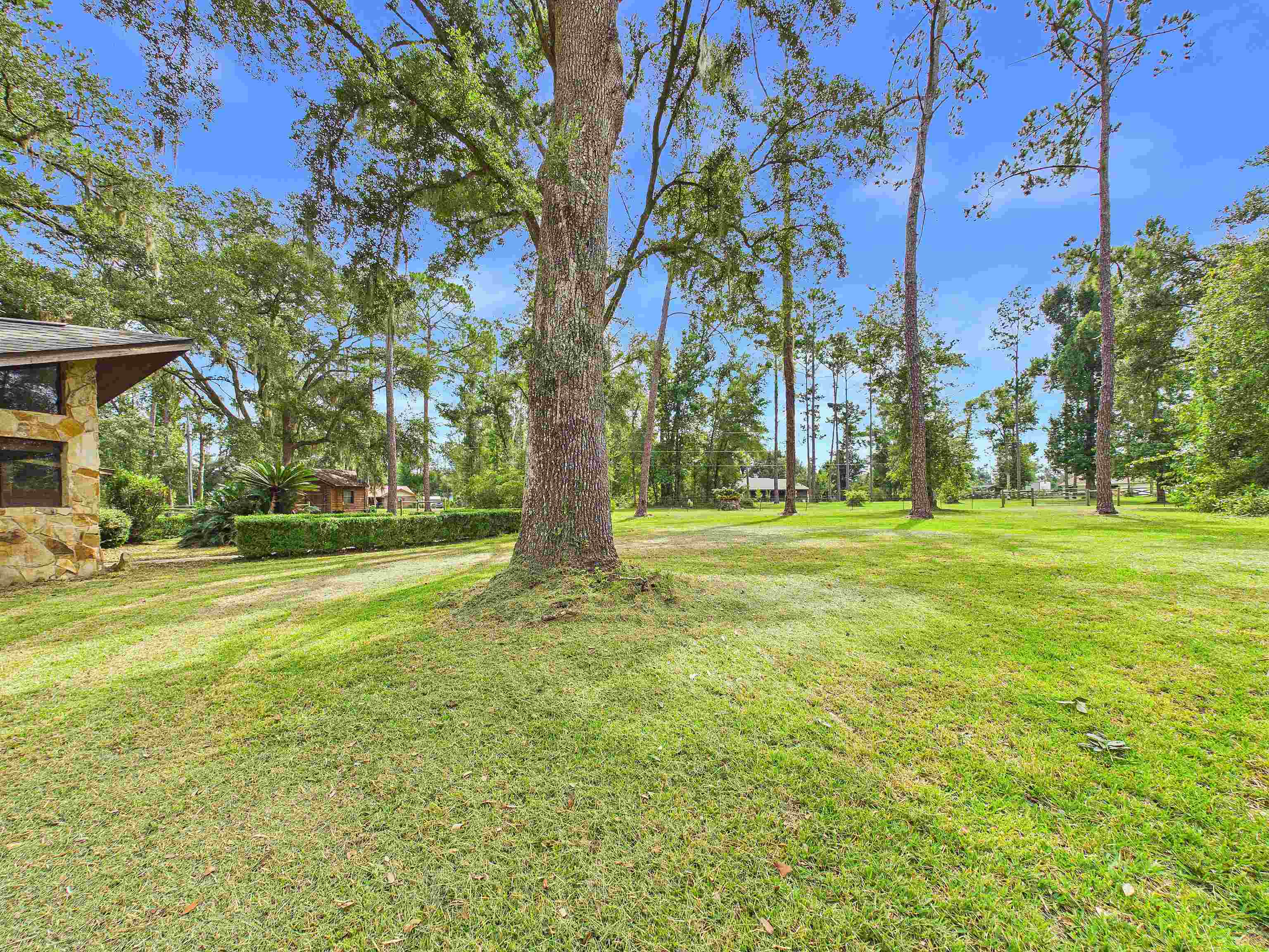 3595 Azalea Drive Perry, FL 32347 - Photo 40 of 46 Gallery Image 40