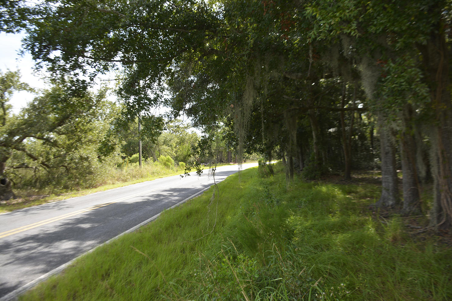 8214 Oyster Factory Road Edisto Island, SC 29438 - Photo 8 of 8 _DSC6941