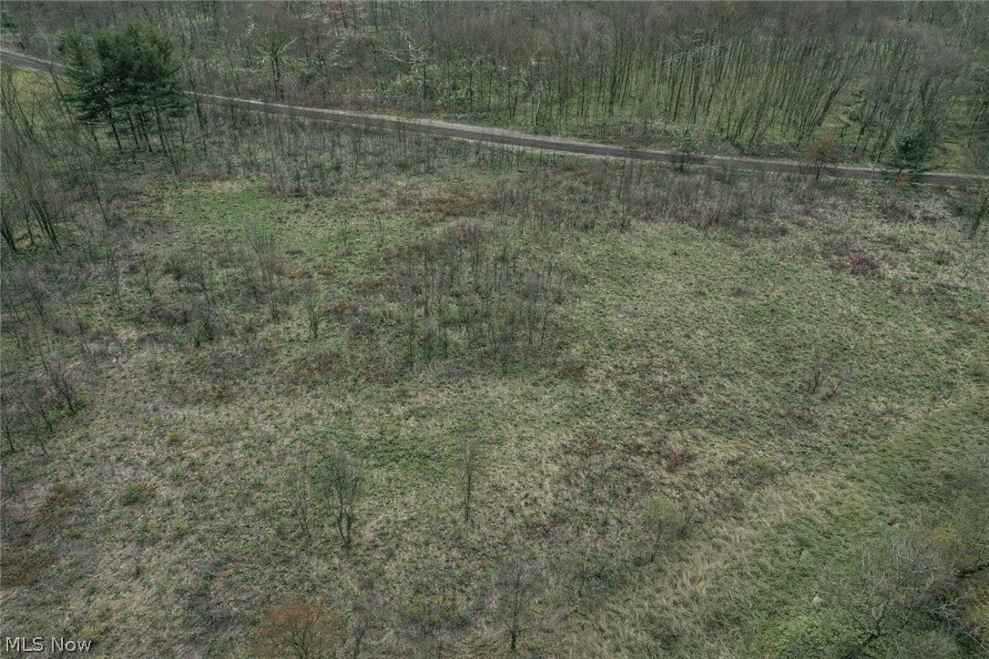0 Lexington Road Alliance, OH 44601 - Photo 3 of 4