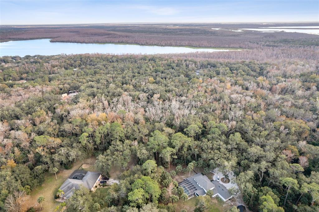 1820 Turtle Hill Road Deltona, FL 32725 - Photo 6 of 16 Gallery Image 6