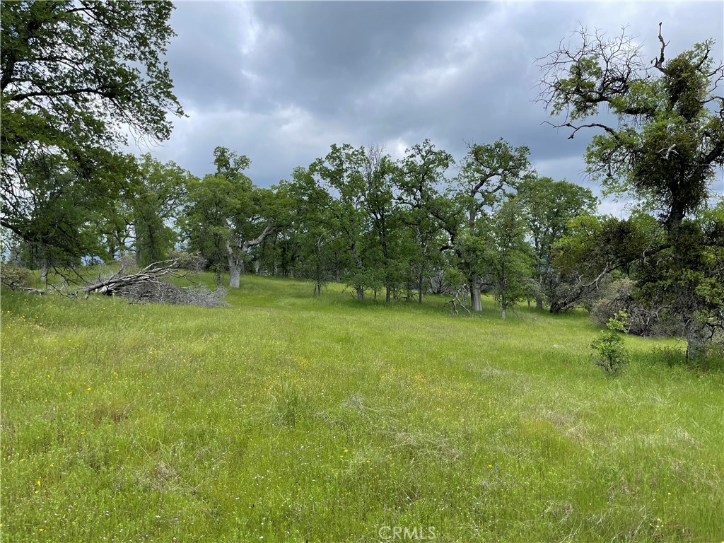 0 Moonshadow Road Mariposa, CA 95338 - Photo 1 of 1 Gallery Image 1