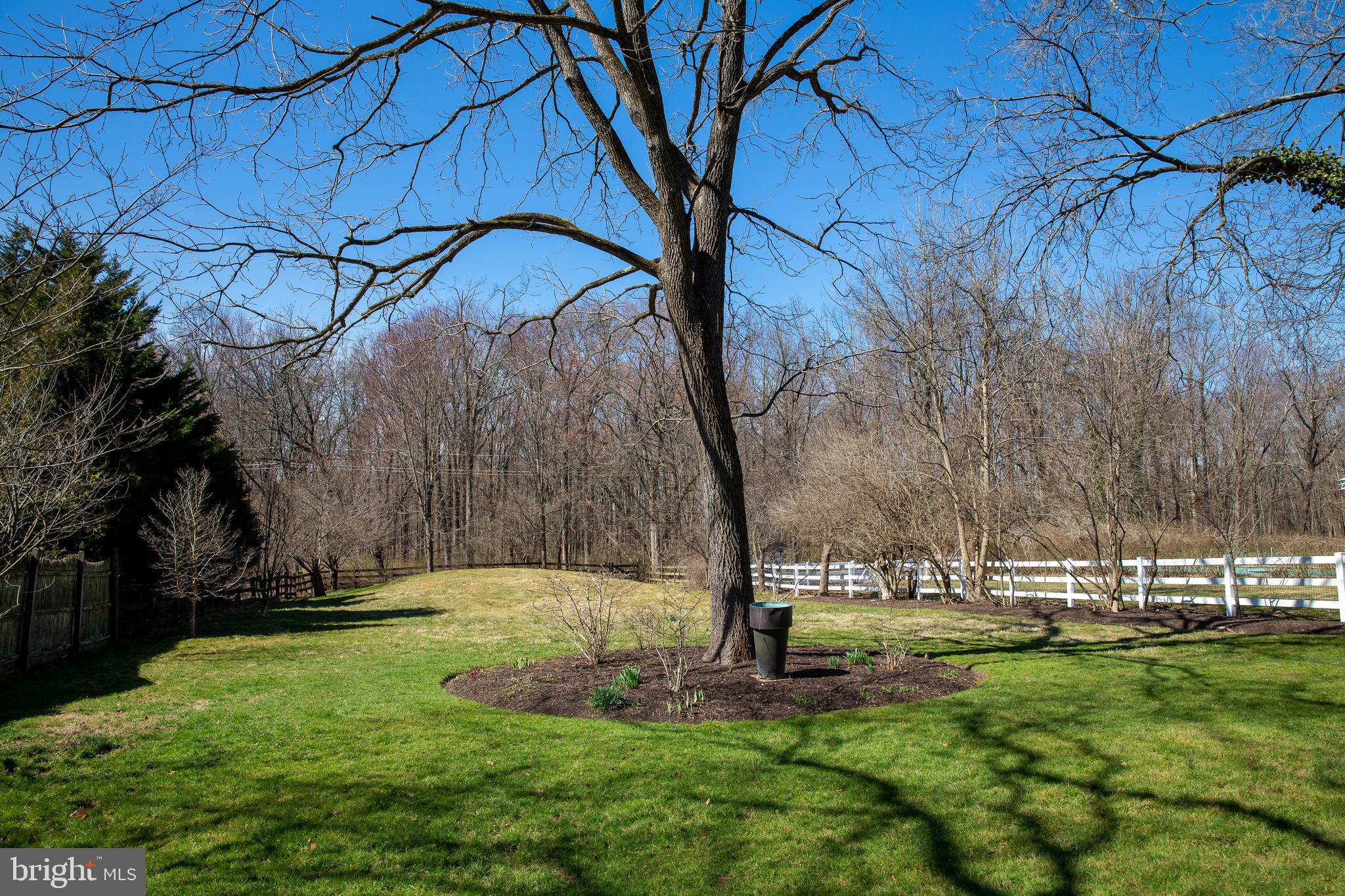155 Carter Road Princeton, NJ 08540 - Photo 14 of 45