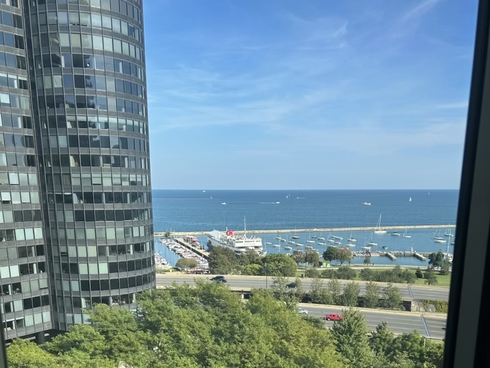 400 East Randolph Street, Unit 1510 Chicago, IL 60601 - Photo 4 of 11