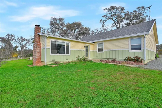 a view of backyard with garden and plants