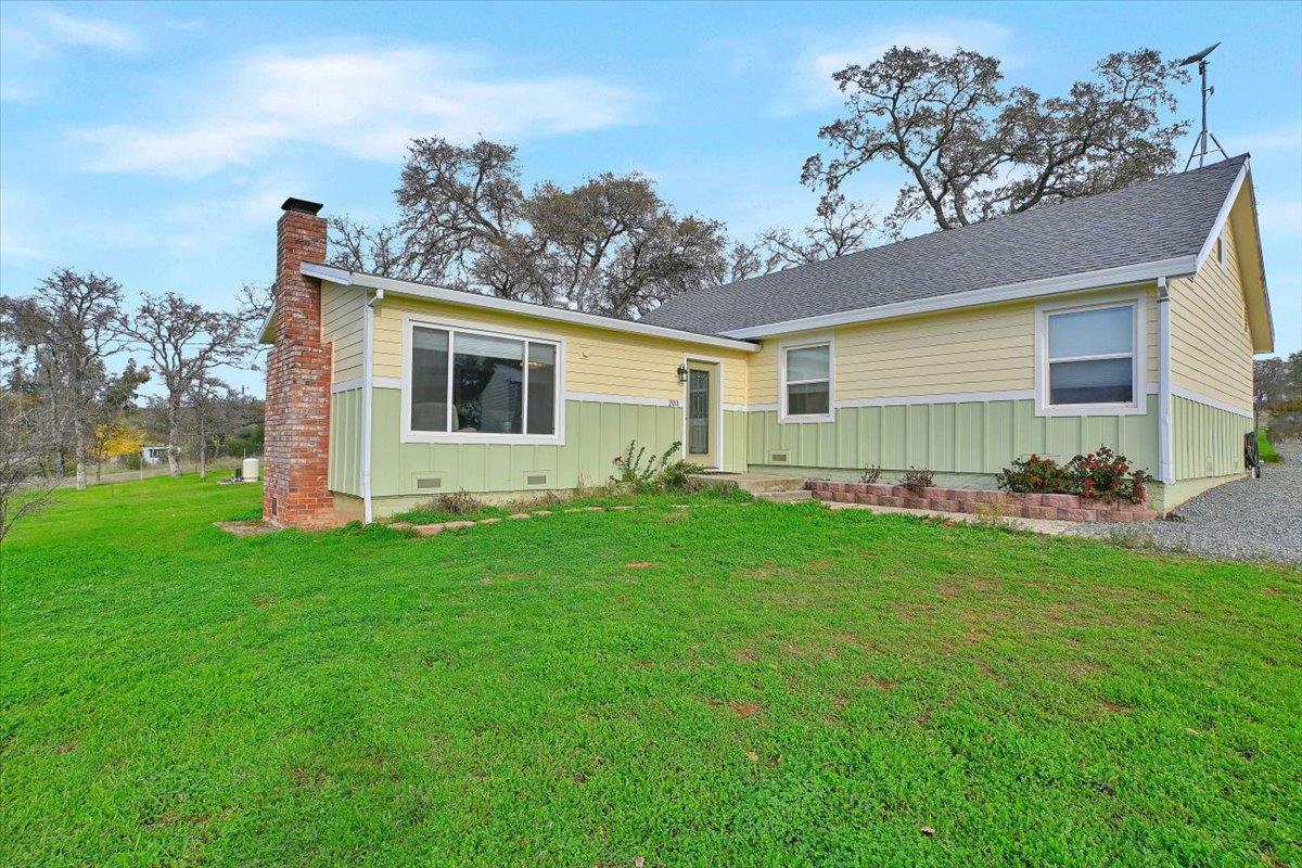 a view of backyard with garden and plants