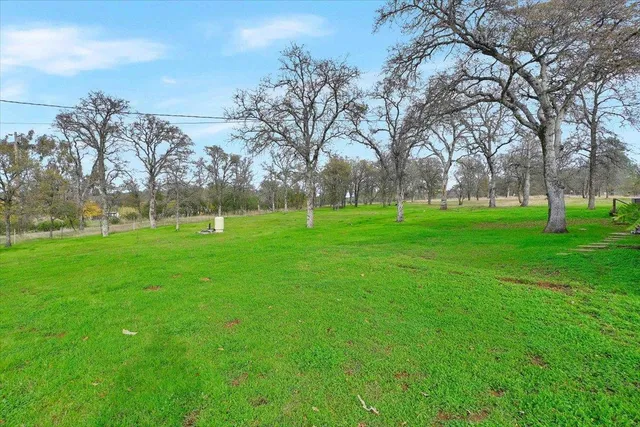 a view of a hardwood in middle of the green field