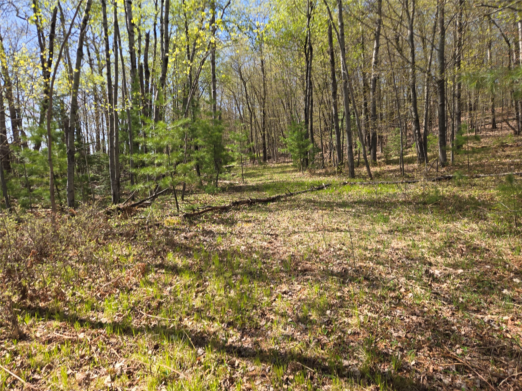 Lot 3 County Highway Cable, WI 54821 - Photo 3 of 6