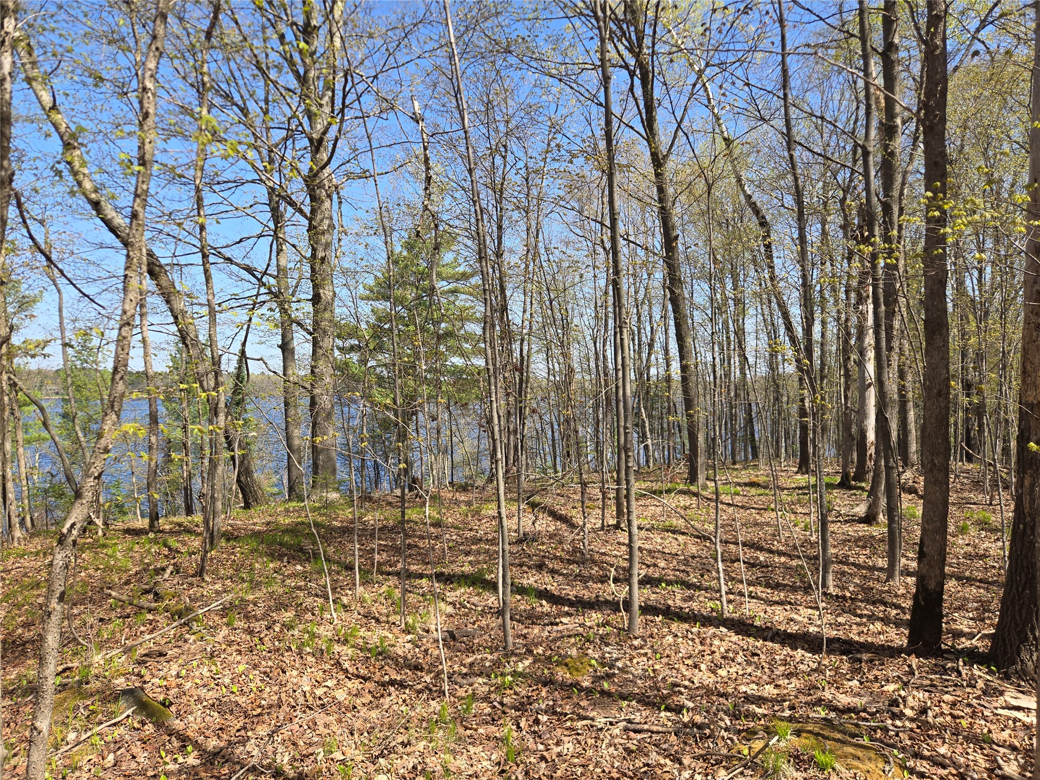 Lot 3 County Highway Cable, WI 54821 - Photo 6 of 6