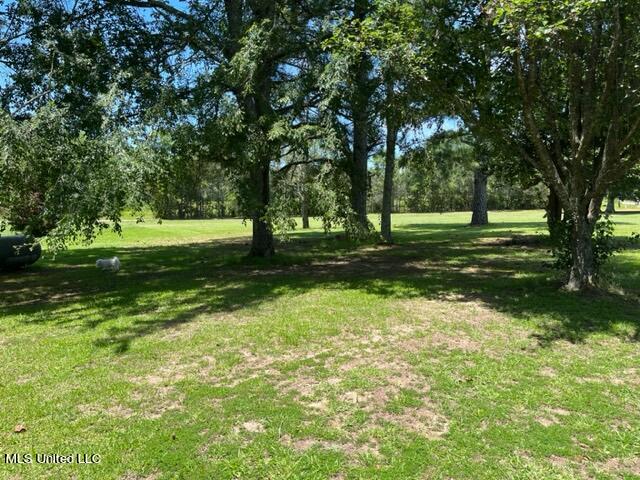 1360 Airport Road Magee, MS 39111 - Photo 26 of 27 IMG_2047 (1)