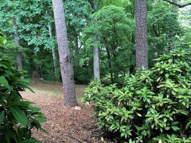 2270 The Circle Raleigh, NC 27608 - Photo 17 of 23 Back Yard