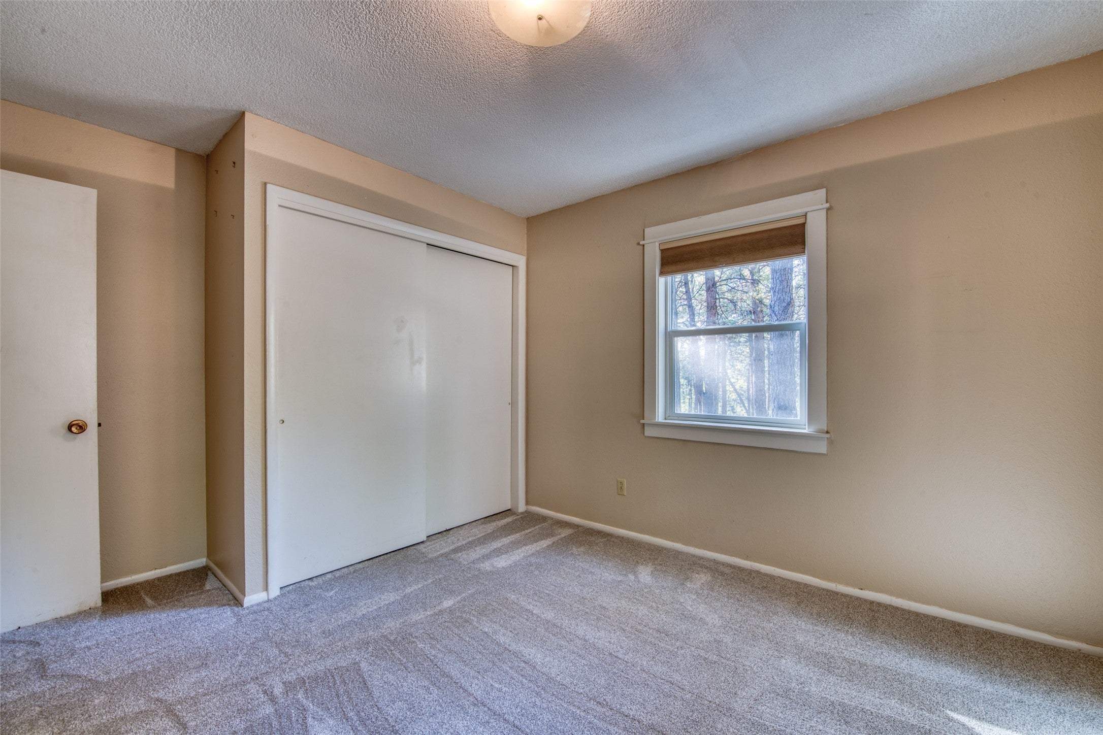309 Owings Creek Road Hamilton, MT 59840 - Photo 17 of 33 Gallery Image 17